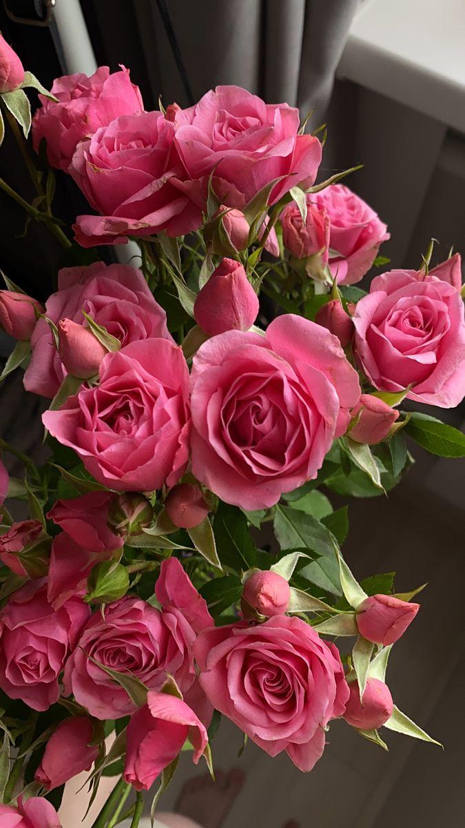 Enchanted Garden Blossom Array